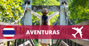 ¿Cuántos tigres blancos quedan en el mundo 2025? | Blog Viajes Tailandia